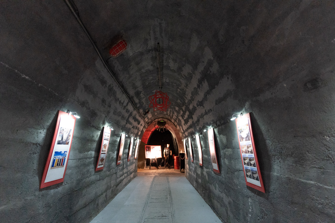 Pogledajte kako umjetna inteligencija vidi šibenske motive