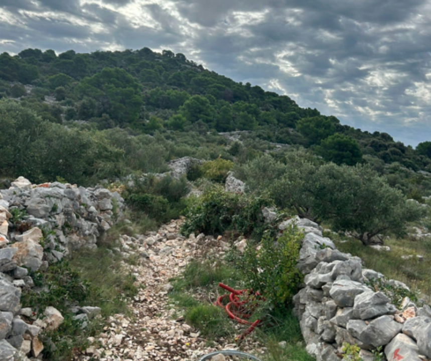 Uređenje šetnice na otoku Kapriju ide dalje: Grad Šibenik ugovorio radove vrijedne 76.404 eura