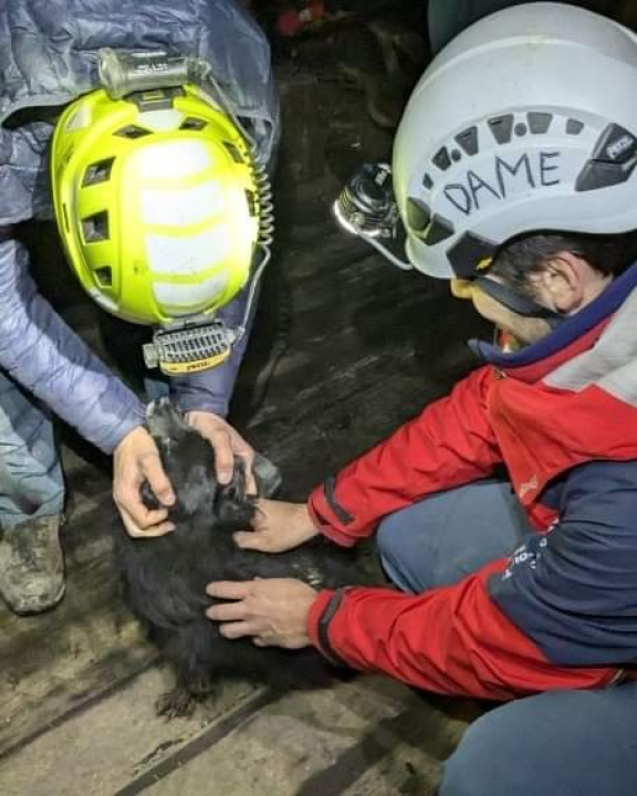 Sretni kraj za Lolu: Malena kujica spašena iz duboke jame