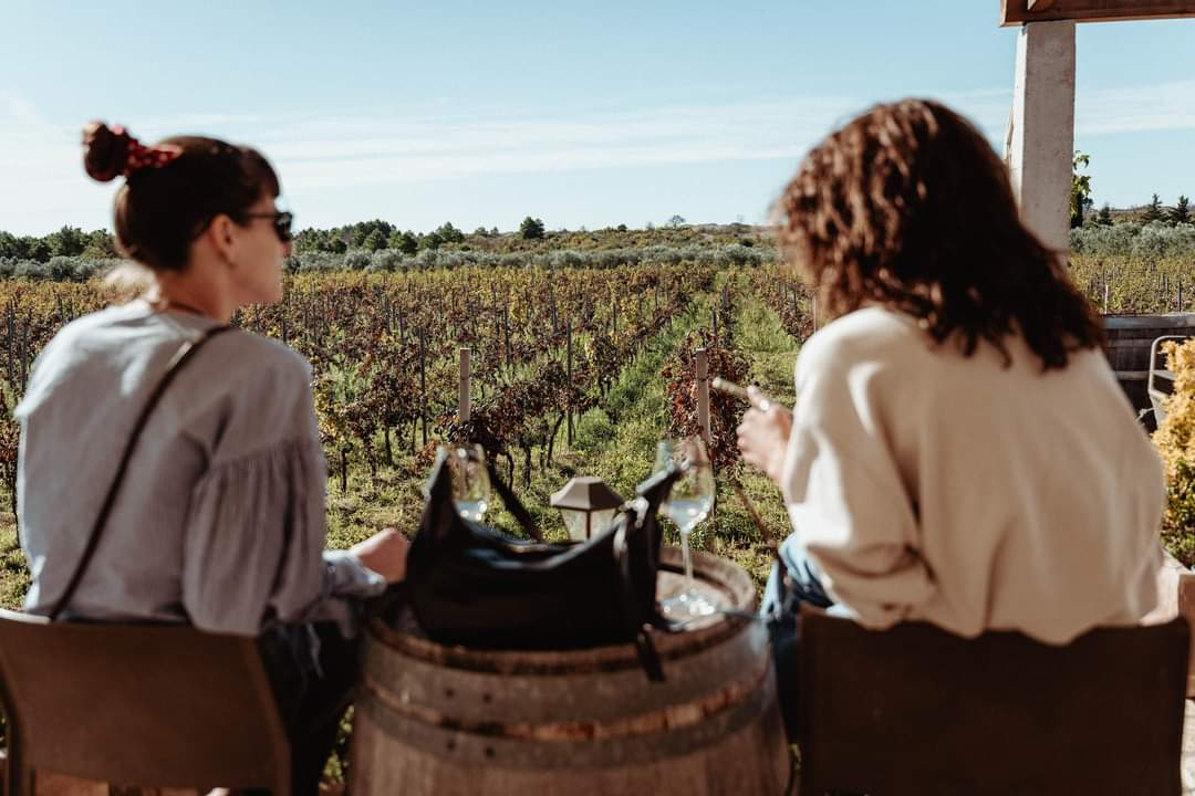 Jesenske delicije u vinariji: Marendavanje u vinariji Baraka nadomak Šibenika