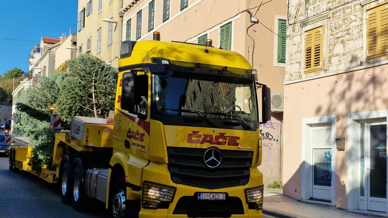 Na Poljani postavljena prva prava šibenska jelka: Kod klizališta stigla ravno sa Šubićevca