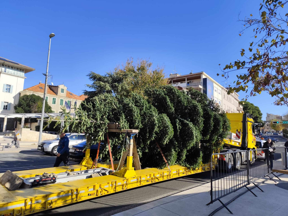 Na Poljani postavljena prva prava šibenska jelka: Kod klizališta stigla ravno sa Šubićevca