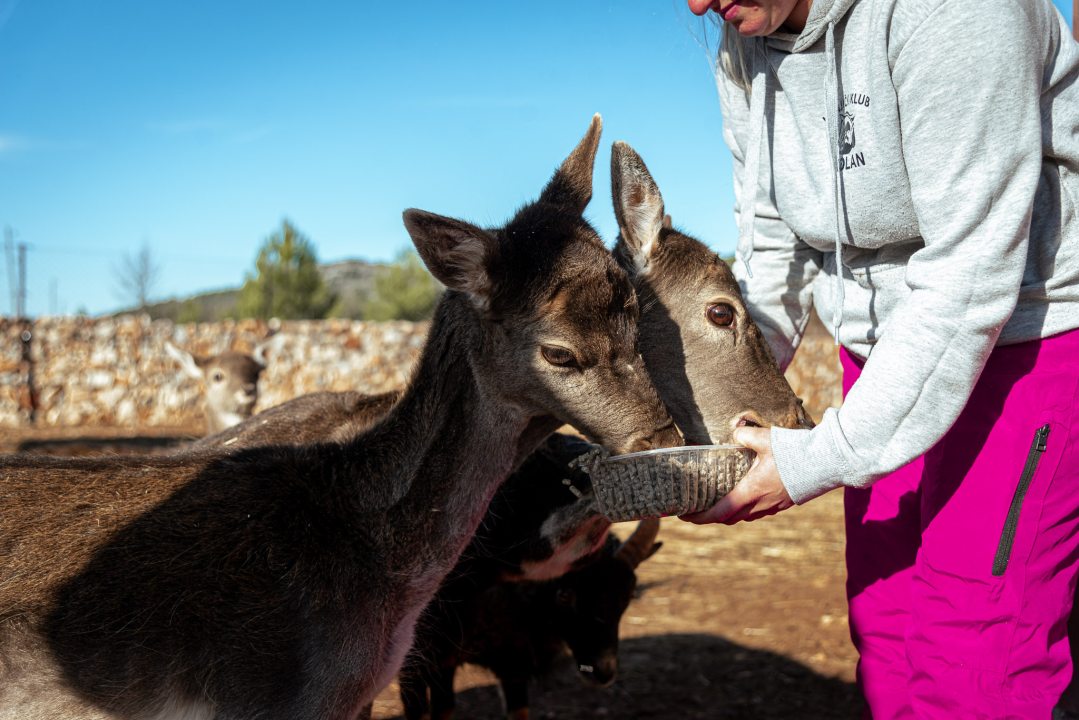 Jelena, Nina i Srećko oduševe svakoga tko posjeti Happy Horse u Dubravi