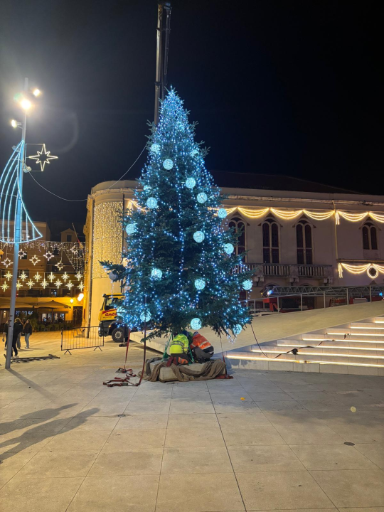 Brzom intervencijom Čače, vatrogasaca i policije Šibenik više nema kosi bor