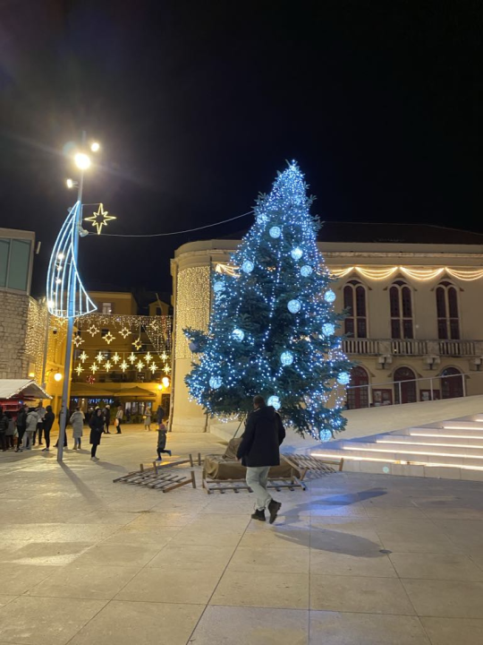 Brzom intervencijom Čače, vatrogasaca i policije Šibenik više nema kosi bor