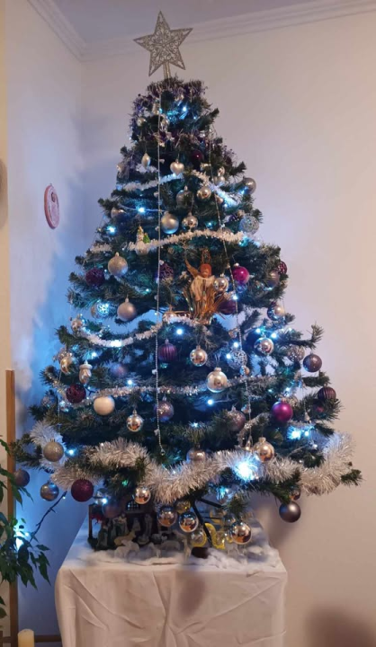 Provjerite tko su pobjednici izbora za naj jelku!