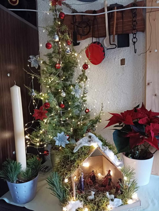 Provjerite tko su pobjednici izbora za naj jelku!