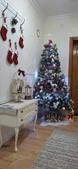 Provjerite tko su pobjednici izbora za naj jelku!