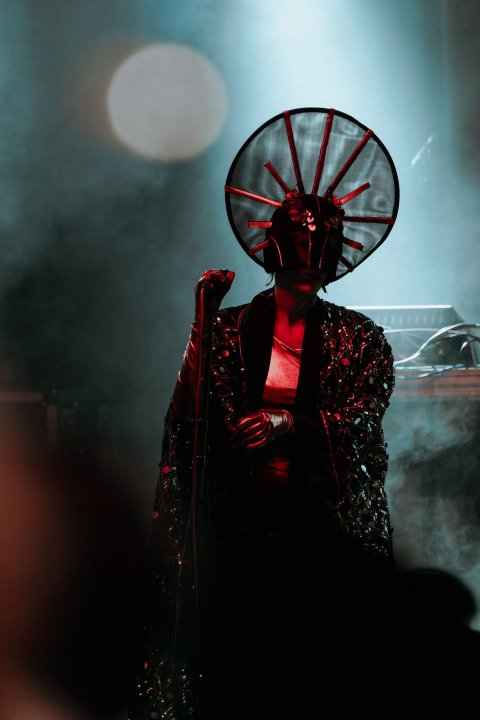 Maskirani Nipplepeople rasplesali sinoć Šibenačane u parku