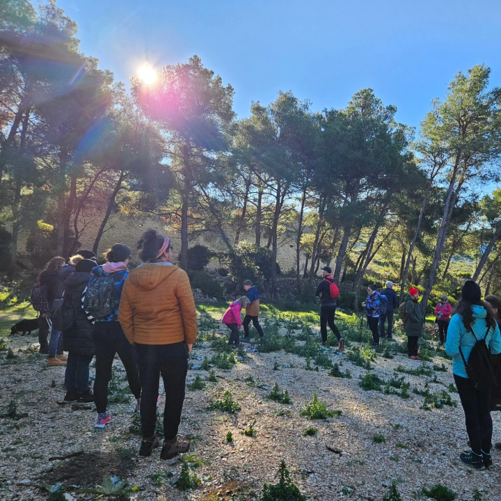 Brojni Šibenčani jutro proveli u šetnji na poluotoku Oštrica