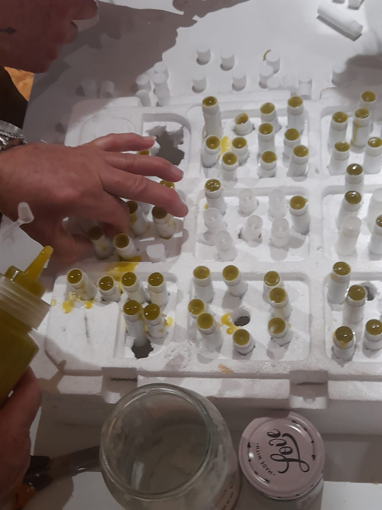 Tribunjski umirovljenici na radionici izrađivali prirodnu kozmetiku