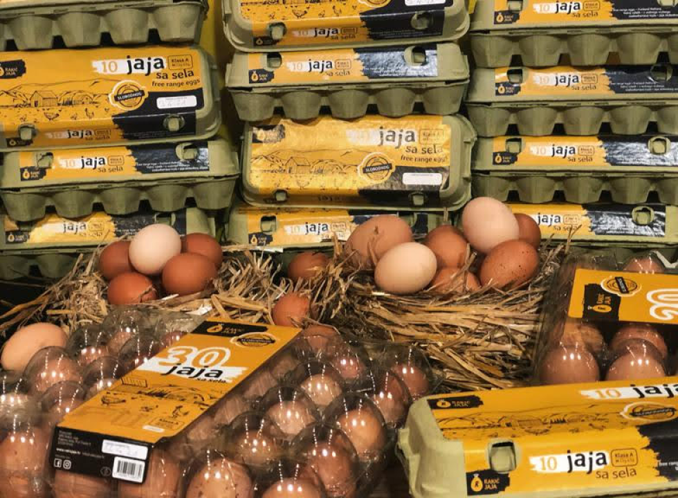 'Halo Jaja': Od koka do vaše kuhinje u najkraćem mogućem roku!