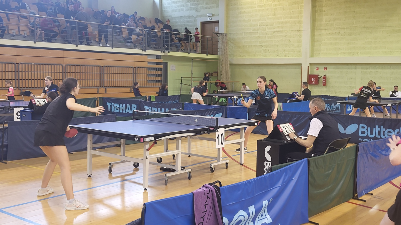 FOTO: Stolnotenisačice Šibenika nastupile u Krapini, Vilmi Despot bronca