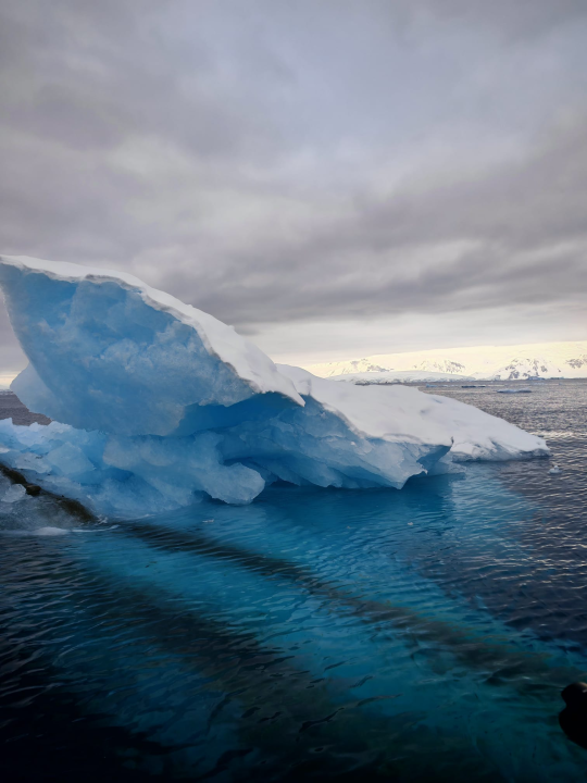 Veliki Gogo na sedmom kontinentu: 'Ako bi Antarktiku trebao opisati riječima, osjećao bi se da abnormalno umanjujem doživljaj' 