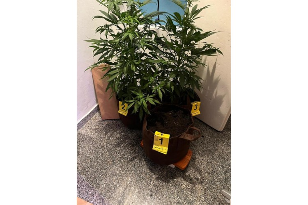 FOTO U Vodicama pronađen improviziran laboratorij za proizvodnju droge, 'poduzetnik' priveden