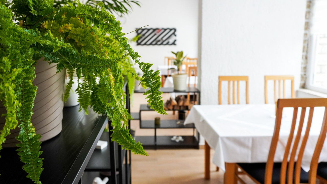 FOTO Restoran Eden ponovno otvoren – vrhunski okusi koji osvajaju!