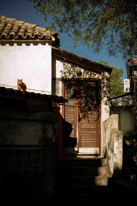 Plišac - život u autentičnom šibenskom kvartu