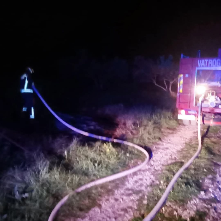 Bilički vatrogasci u nedjelju navečer gasili požar u masliniku