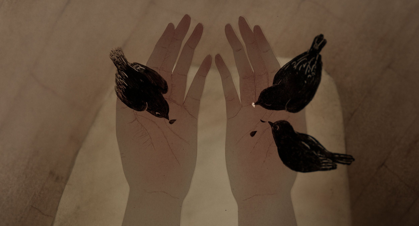 'Animirani Šibenik' večeras u Arsen donosi sedam slovenskih filmova