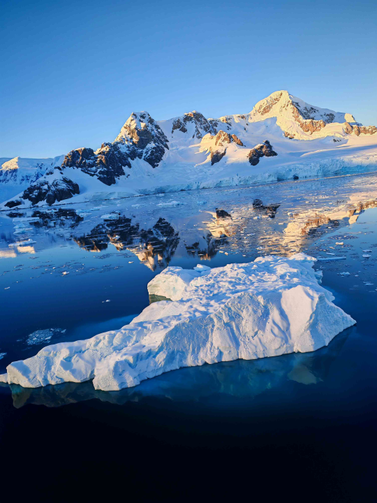 Veliki Gogo, prvi Šibenčanin na Antarktici: 'Skočio sam u more dva puta, a pingvini baš i ne mirišu najbolje'