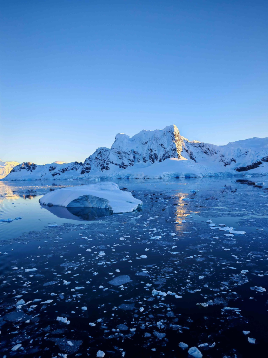 Veliki Gogo, prvi Šibenčanin na Antarktici: 'Skočio sam u more dva puta, a pingvini baš i ne mirišu najbolje'