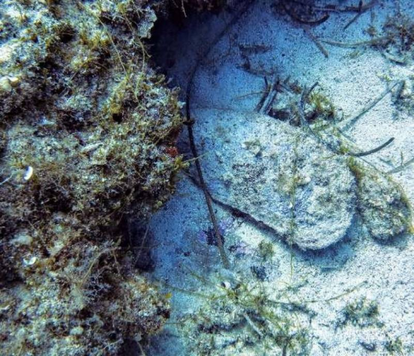 Mališani iz DV Osmijeh obilježili Svjetski dan oceana uz radionice i animirani film 'Mala periska'