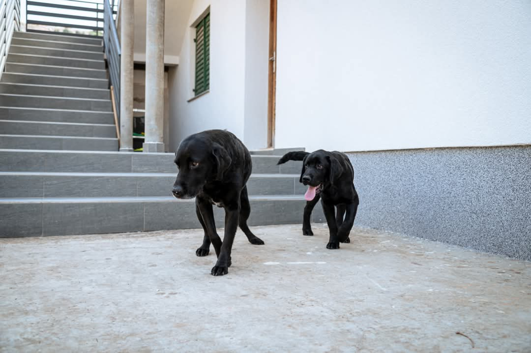 Nekretnine u Njivicama sve traženije, grad planira čvorove za lakši ulaz u Šibenik