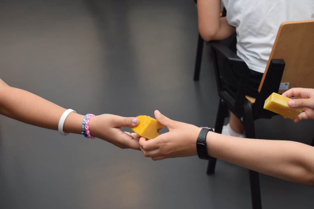 Mladi čuvari prirode u misiji zaštite prirode u NP Krka