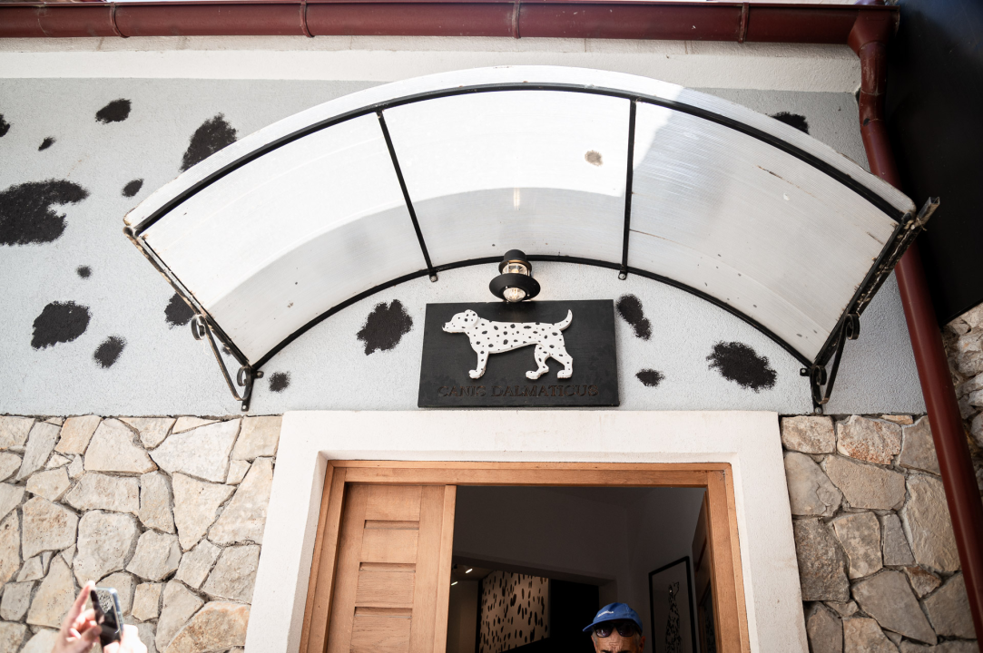 Otvorena Kuća dalmatinskog psa