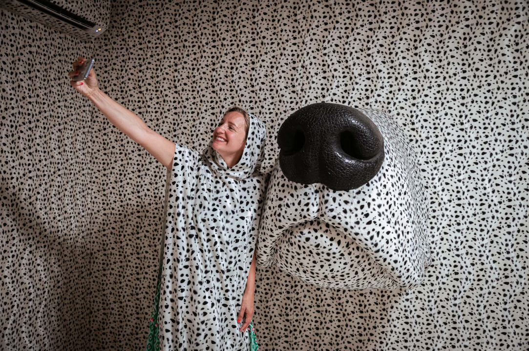 Otvorena Kuća dalmatinskog psa