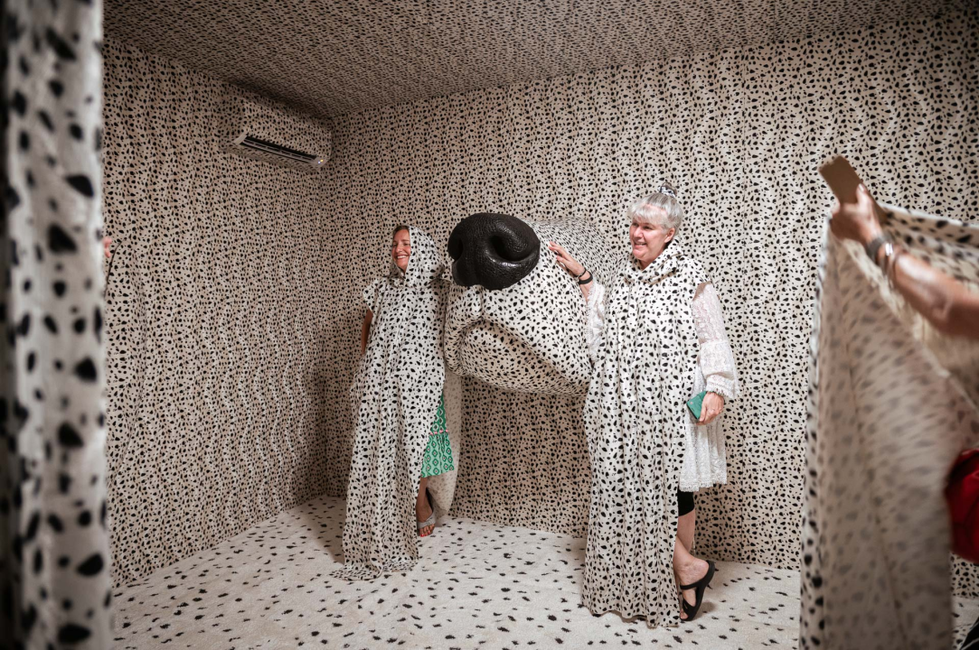 Otvorena Kuća dalmatinskog psa