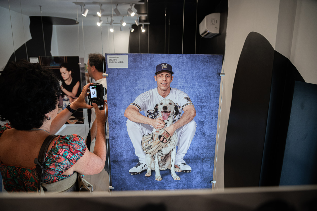 Otvorena Kuća dalmatinskog psa