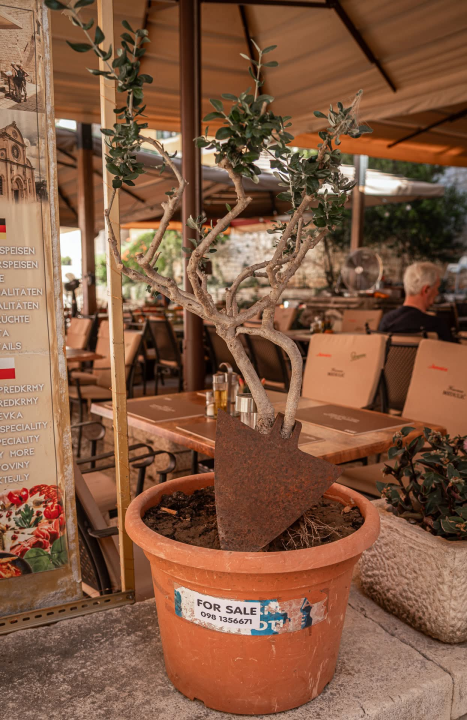 Kalelarga - Srce Šibenika koje pamti priče generacija