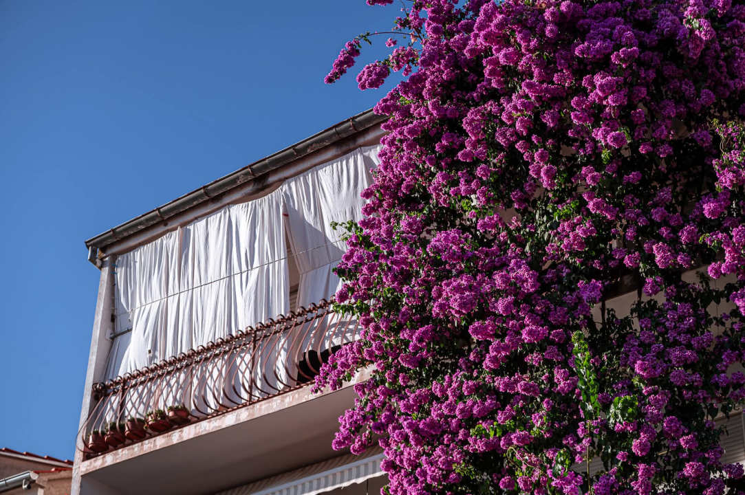 Na brdu iznad Šibenika: Mažurice s pogledom na grad, mirom i zajedništvom