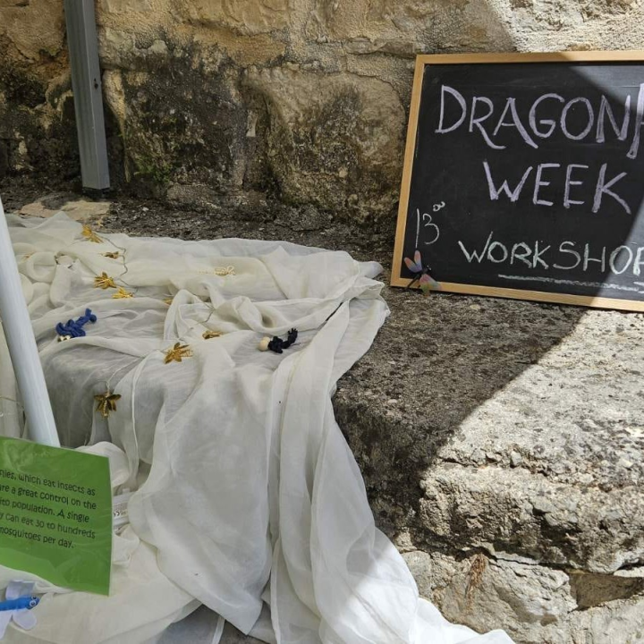 Tradicijsko tkanje i vretenci oduševili posjetitelje NP Krka