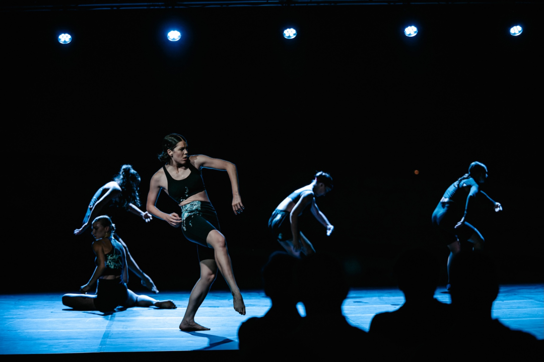 Govor tijela jači od riječi: Večer snažnih poruka na Šibenik Dance Festivalu