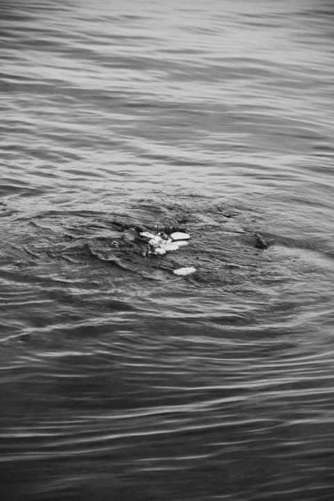 U četvrtak otvorenje izložbe 'Val od soli' Nataše Ninić