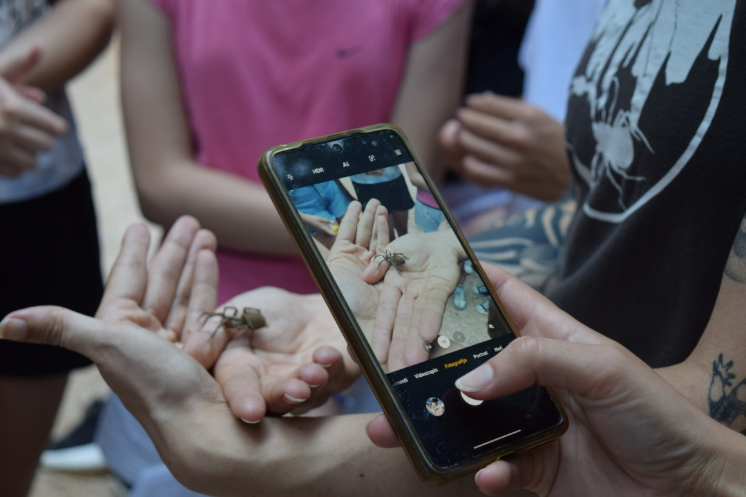 Mladi čuvari prirode okupili se u NP Krka na edukativnoj radionici