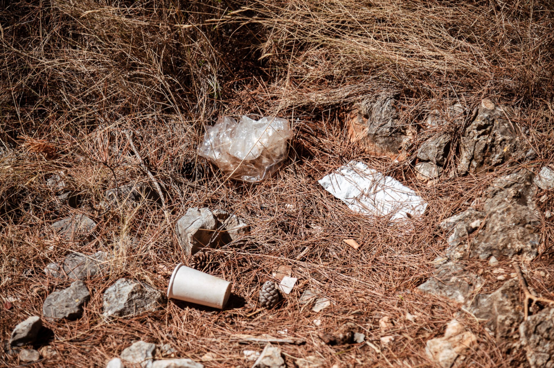 Smeće umjesto ljetne idile na stjenovitoj plaži u Brodarici