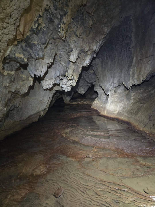 Šibenski Mihovilci sudjelovali u speleoronilačkoj ekspediciji Punar u Luci