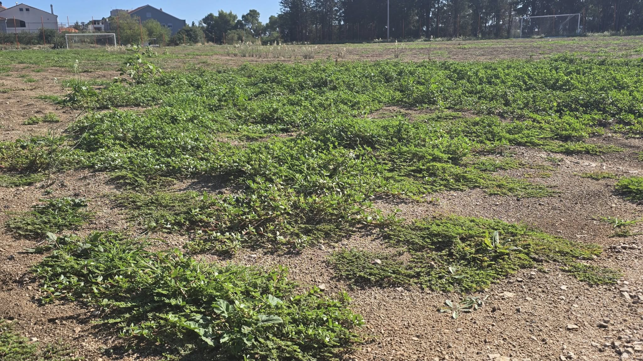 FOTO Igralište Metalca opet obraslo u korov, dok mladi nogometaši čekaju svoj dom