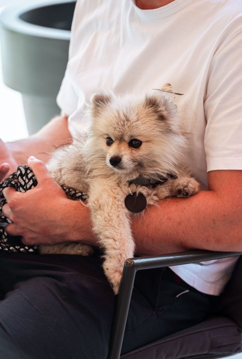 FOTO Đir po gradu, četvrtak 18. rujna