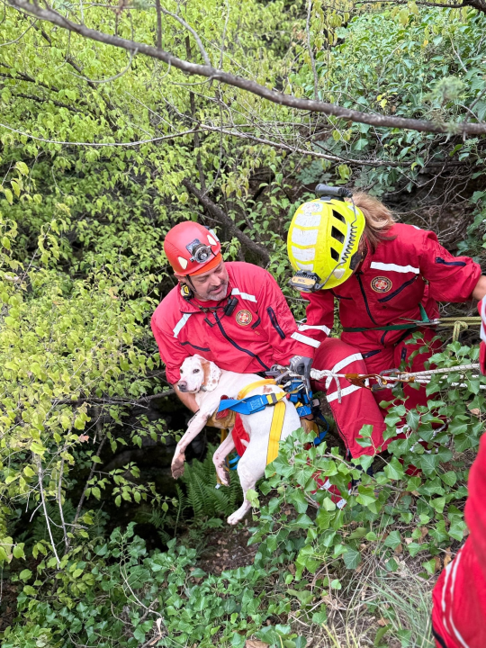 Šibenski HGSS-ovci u Unešiću spasili psa iz duboke jame
