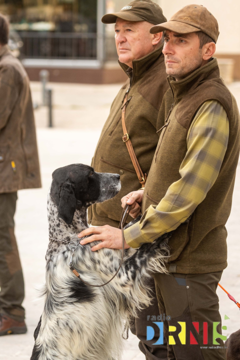 U Drnišu otvoreno Državno prvenstvo u radu lovnih pasa