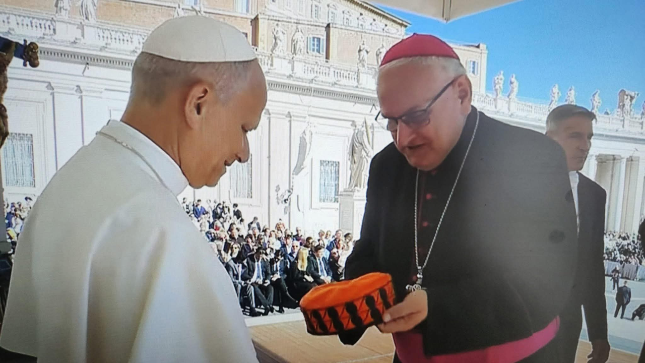 Simbol Šibenika u rukama Pape: Biskup Rogić darovao šibensku kapu Lavu XIV.