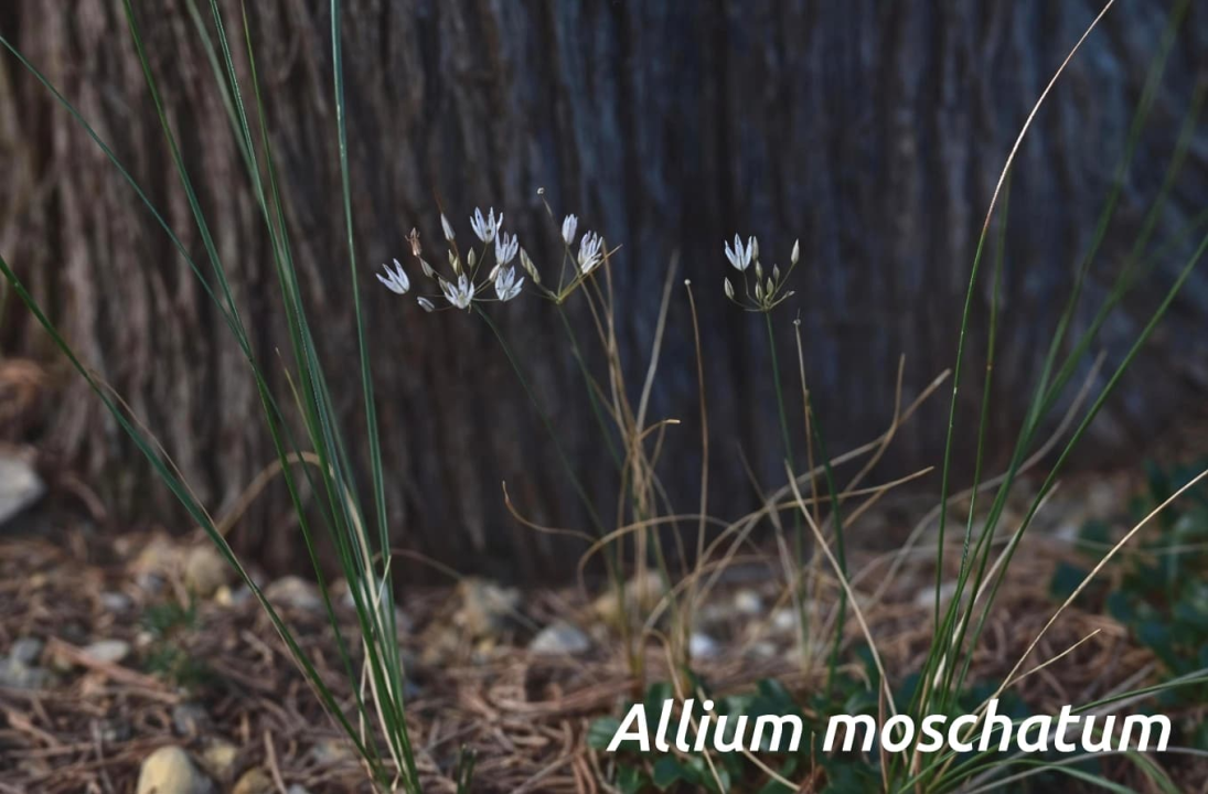 Mladi volonteri u NP Krka otkrili niz novih vrsta koje svjedoče o iznimnoj bioraznolikosti
