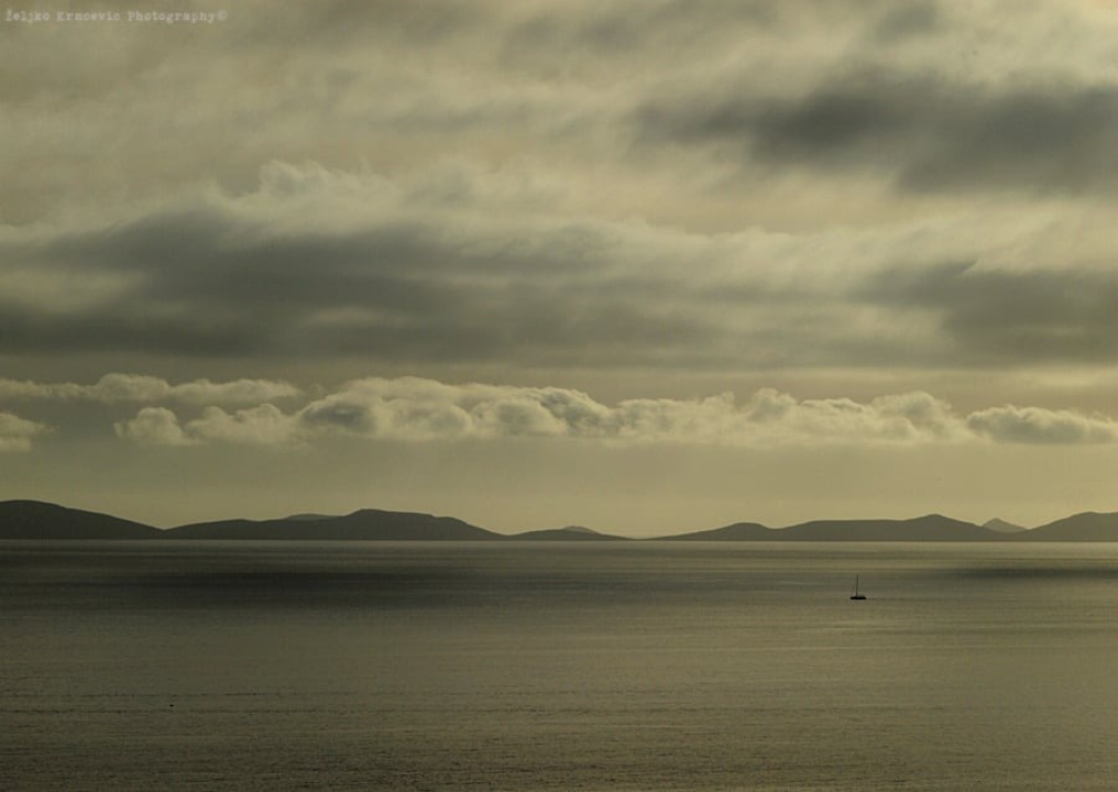 Kapi masline i gušti života: Gurmanske priče s Murtera i Kurnata
