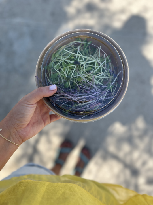 Roko i Anđela na Zlarinu uzgajaju mikrobolje.