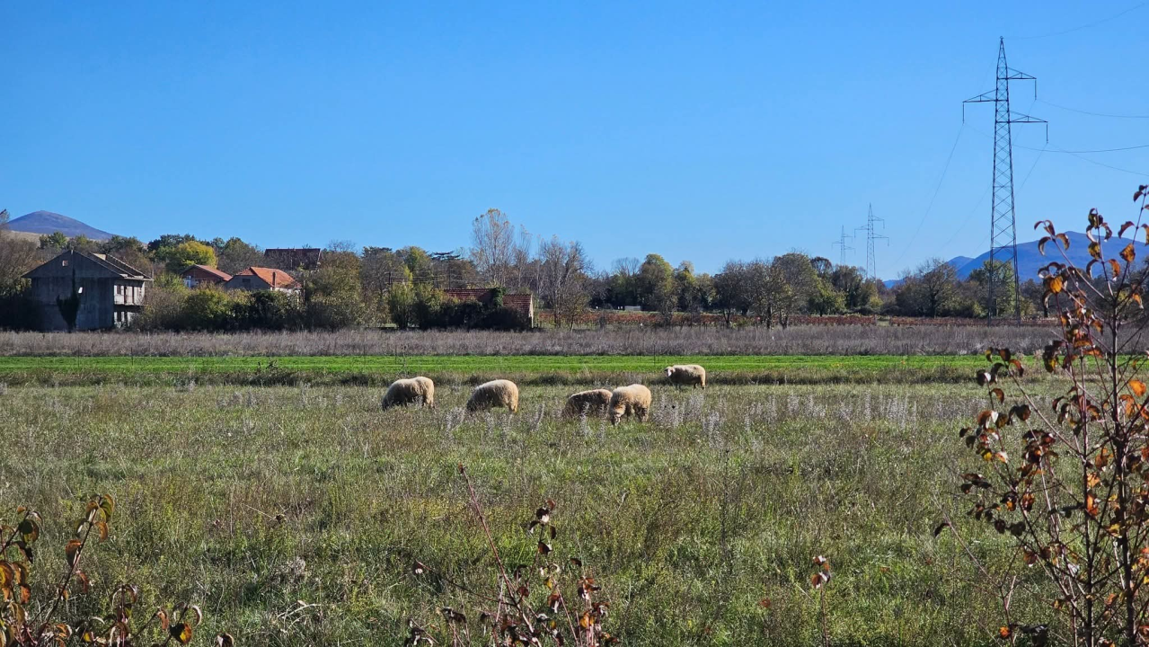 Drniško zaleđe u jesenskim bojama