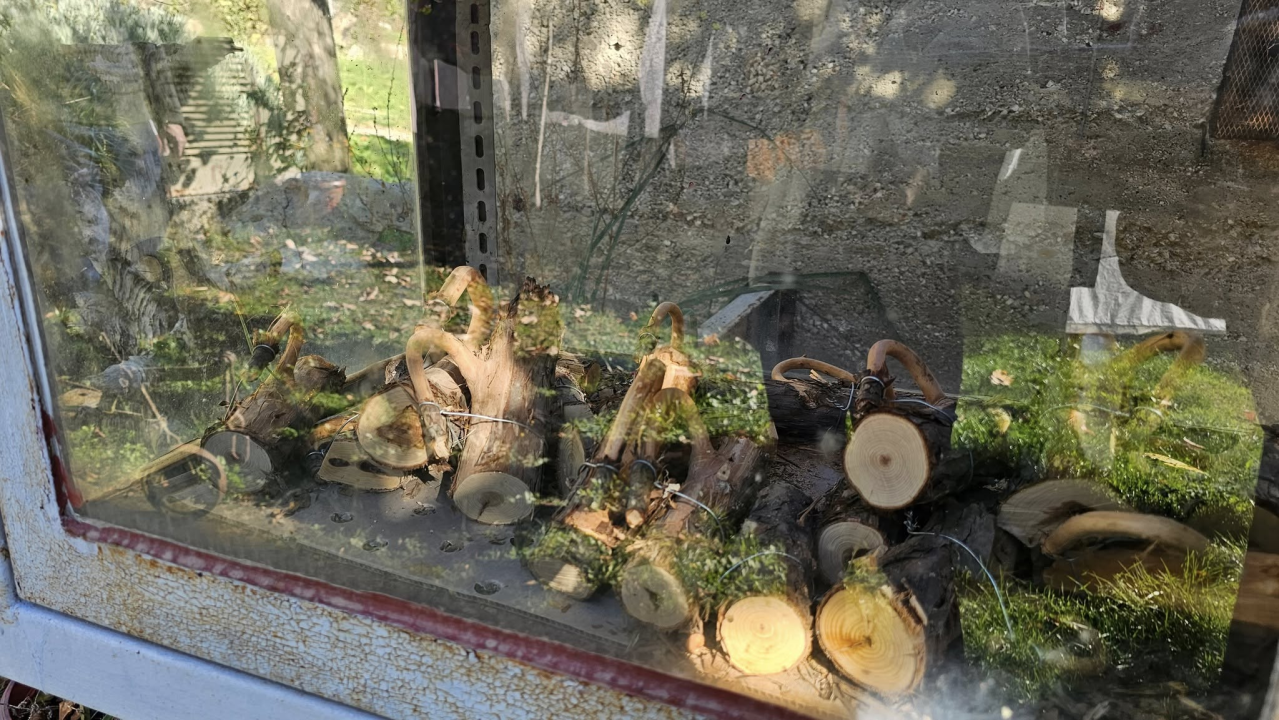 Ivan Tomić izrađuje susak.